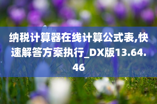 纳税计算器在线计算公式表,快速解答方案执行_DX版13.64.46