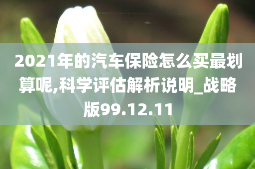 2021年的汽车保险怎么买最划算呢,科学评估解析说明_战略版99.12.11