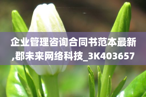 企业管理咨询合同书范本最新,郡未来网络科技_3K403657