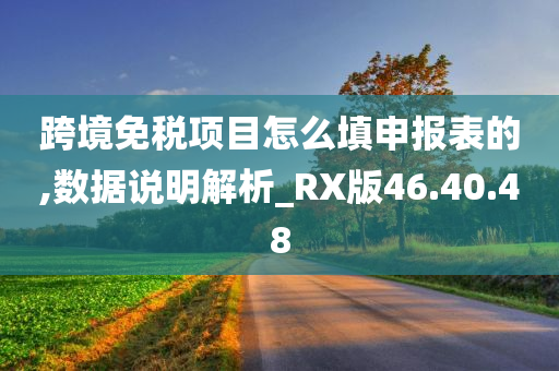 跨境免税项目怎么填申报表的,数据说明解析_RX版46.40.48