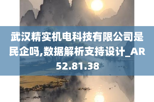 武汉精实机电科技有限公司是民企吗,数据解析支持设计_AR52.81.38