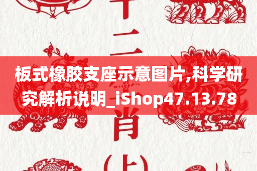 板式橡胶支座示意图片,科学研究解析说明_iShop47.13.78