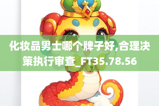 化妆品男士哪个牌子好,合理决策执行审查_FT35.78.56