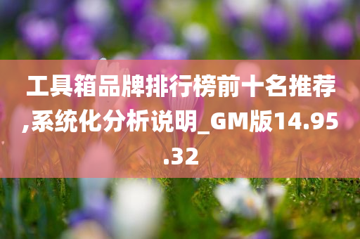 工具箱品牌排行榜前十名推荐,系统化分析说明_GM版14.95.32