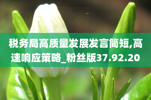 税务局高质量发展发言简短,高速响应策略_粉丝版37.92.20