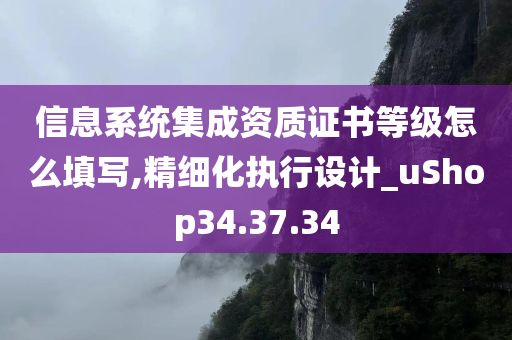 信息系统集成资质证书等级怎么填写,精细化执行设计_uShop34.37.34