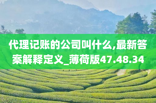 代理记账的公司叫什么,最新答案解释定义_薄荷版47.48.34