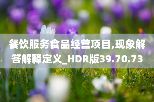 餐饮服务食品经营项目,现象解答解释定义_HDR版39.70.73