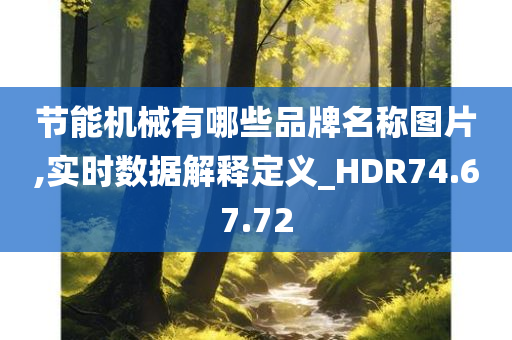 节能机械有哪些品牌名称图片,实时数据解释定义_HDR74.67.72