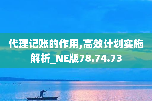 代理记账的作用,高效计划实施解析_NE版78.74.73