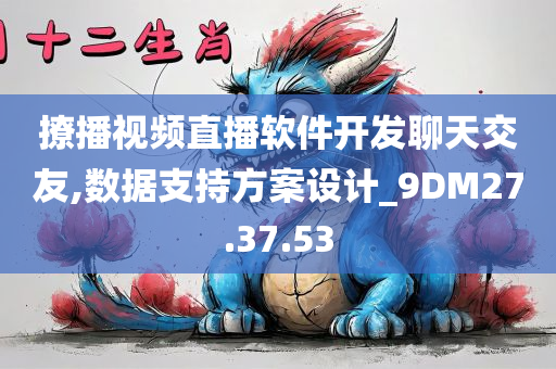 撩播视频直播软件开发聊天交友,数据支持方案设计_9DM27.37.53