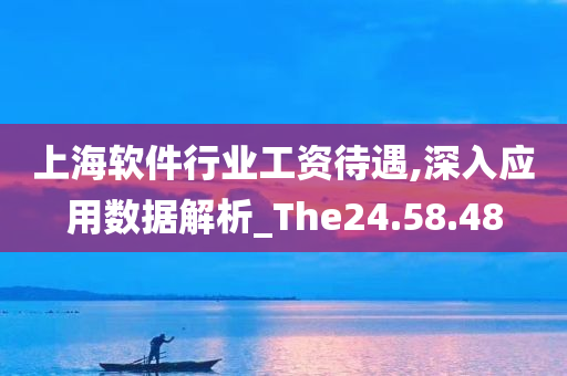 上海软件行业工资待遇,深入应用数据解析_The24.58.48