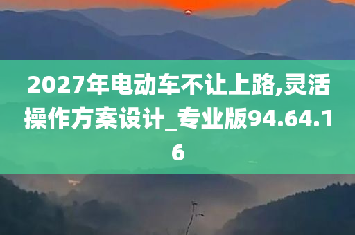 2027年电动车不让上路,灵活操作方案设计_专业版94.64.16