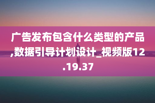 广告发布包含什么类型的产品,数据引导计划设计_视频版12.19.37