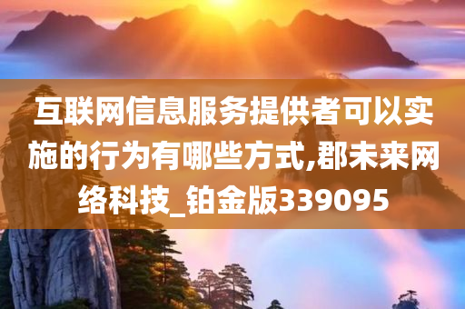 互联网信息服务提供者可以实施的行为有哪些方式,郡未来网络科技_铂金版339095