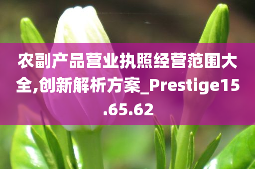 农副产品营业执照经营范围大全,创新解析方案_Prestige15.65.62