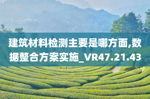 建筑材料检测主要是哪方面,数据整合方案实施_VR47.21.43