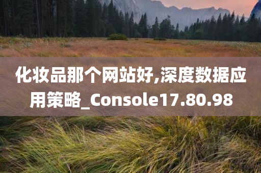 化妆品那个网站好,深度数据应用策略_Console17.80.98