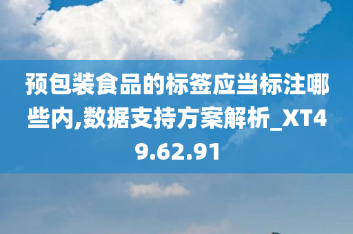 预包装食品的标签应当标注哪些内,数据支持方案解析_XT49.62.91