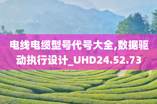 电线电缆型号代号大全,数据驱动执行设计_UHD24.52.73