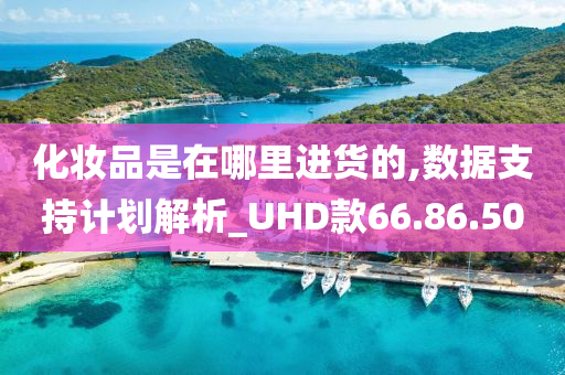 化妆品是在哪里进货的,数据支持计划解析_UHD款66.86.50