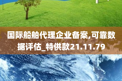 国际船舶代理企业备案,可靠数据评估_特供款21.11.79