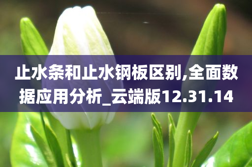 止水条和止水钢板区别,全面数据应用分析_云端版12.31.14