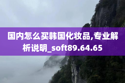 国内怎么买韩国化妆品,专业解析说明_soft89.64.65