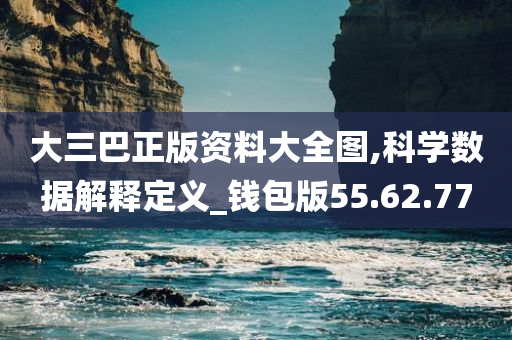 大三巴正版资料大全图,科学数据解释定义_钱包版55.62.77