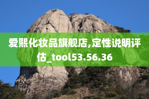 爱熙化妆品旗舰店,定性说明评估_tool53.56.36