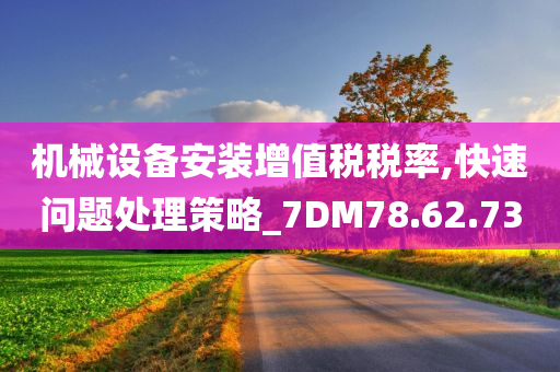 机械设备安装增值税税率,快速问题处理策略_7DM78.62.73