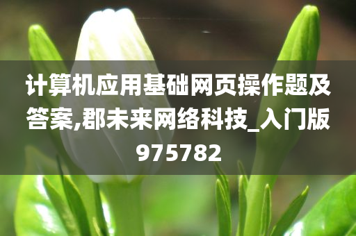 计算机应用基础网页操作题及答案,郡未来网络科技_入门版975782