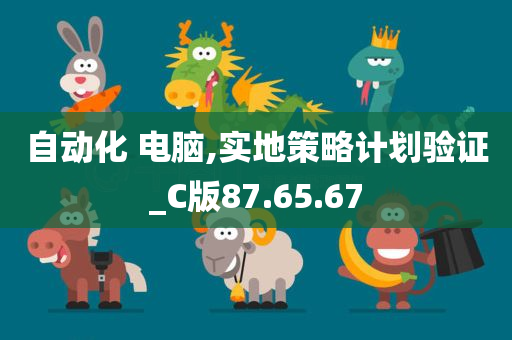 自动化 电脑,实地策略计划验证_C版87.65.67