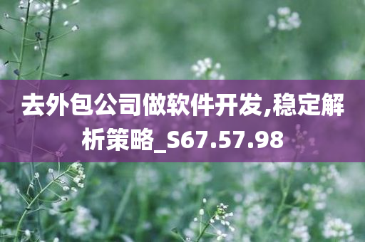 去外包公司做软件开发,稳定解析策略_S67.57.98