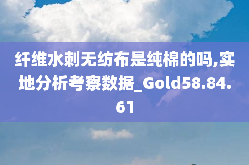 纤维水刺无纺布是纯棉的吗,实地分析考察数据_Gold58.84.61