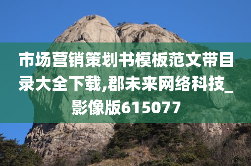 市场营销策划书模板范文带目录大全下载,郡未来网络科技_影像版615077