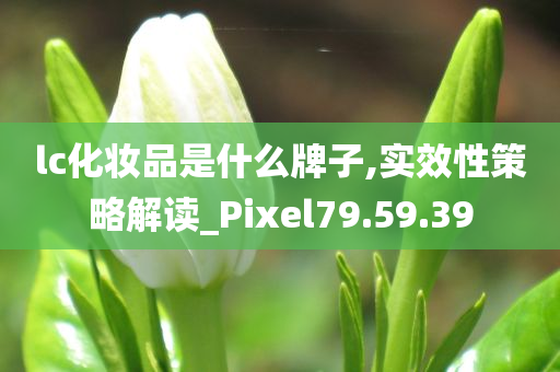 lc化妆品是什么牌子,实效性策略解读_Pixel79.59.39