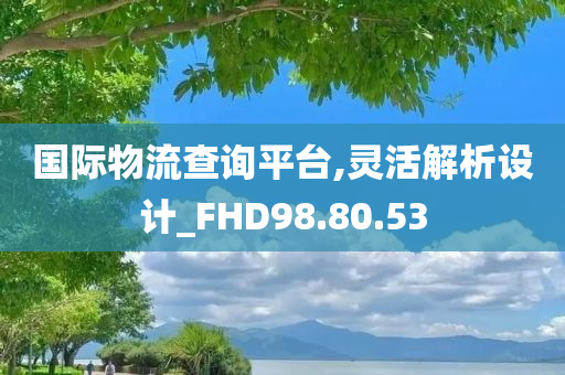 国际物流查询平台,灵活解析设计_FHD98.80.53