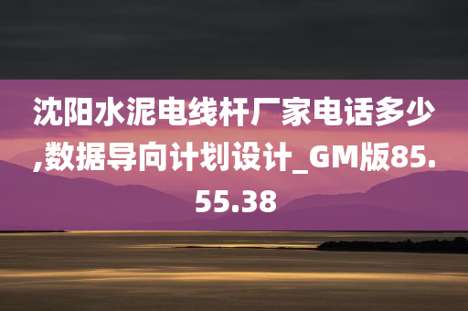 沈阳水泥电线杆厂家电话多少,数据导向计划设计_GM版85.55.38