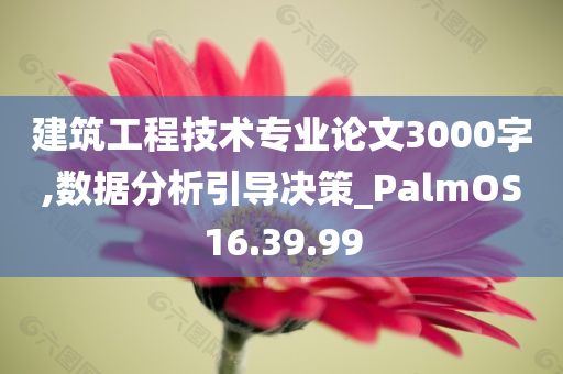 建筑工程技术专业论文3000字,数据分析引导决策_PalmOS16.39.99