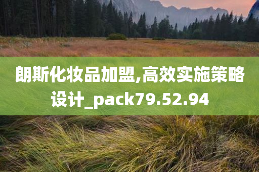 朗斯化妆品加盟,高效实施策略设计_pack79.52.94