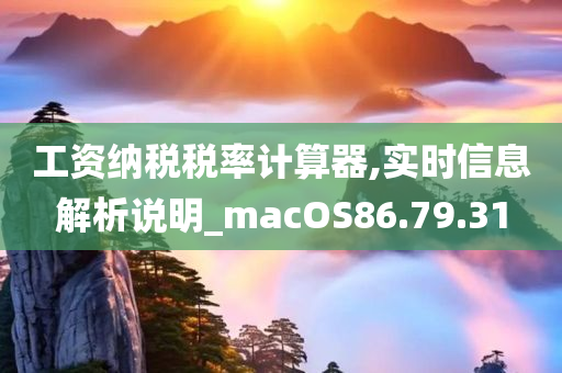 工资纳税税率计算器,实时信息解析说明_macOS86.79.31