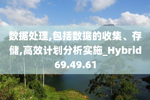 数据处理,包括数据的收集、存储,高效计划分析实施_Hybrid69.49.61