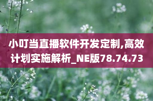 小叮当直播软件开发定制,高效计划实施解析_NE版78.74.73