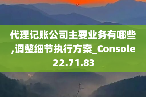 代理记账公司主要业务有哪些,调整细节执行方案_Console22.71.83