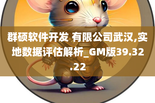 群硕软件开发 有限公司武汉,实地数据评估解析_GM版39.32.22