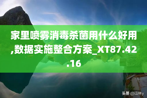 家里喷雾消毒杀菌用什么好用,数据实施整合方案_XT87.42.16