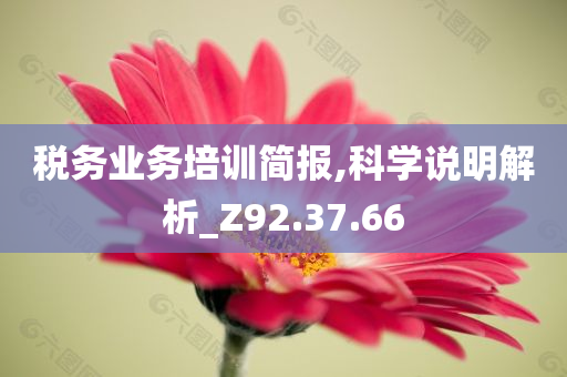 税务业务培训简报,科学说明解析_Z92.37.66