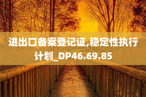 进出口备案登记证,稳定性执行计划_DP46.69.85