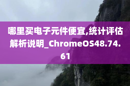 哪里买电子元件便宜,统计评估解析说明_ChromeOS48.74.61